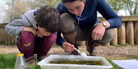 Wild Families: Pond dipping in Holywells Park (E9P 2511)