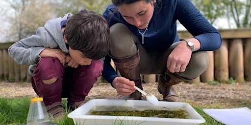 Imagem principal do evento Wild Families: Pond dipping in Holywells Park (E9P 2511)