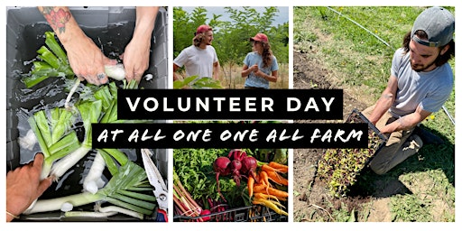 Imagem principal do evento Volunteer Day at AOOA Farm