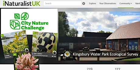 Primaire afbeelding van City Nature Challenge at Kingsbury Water Park