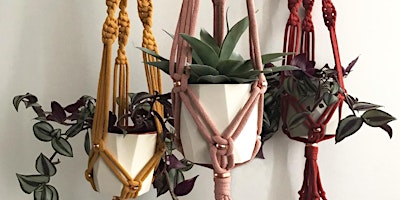 Chunky Cotton & Copper Macramé Plant Hanger Workshop primary image