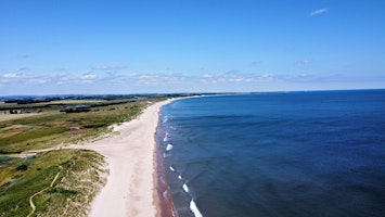 Imagem principal de Barn on The Bay's Wild Beachside Campout