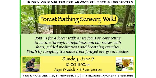 Imagem principal do evento Forest Bathing Sensory Walk