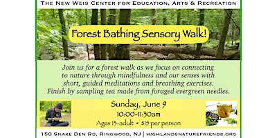Forest Bathing Sensory Walk primary image