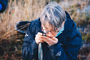 Primaire afbeelding van iNaturalist Bioblitz at Cary's Meadow