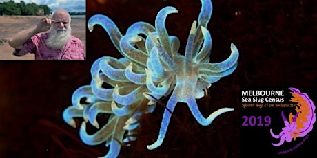 Which is mightier for identifying nudibranchs and other sea slugs today – the morphology or the molecule? primary image