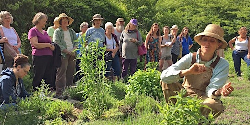 Imagem principal do evento Avena Botanicals Garden Herb Walk (Guided Tour)