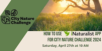 Imagem principal do evento How to use iNaturalist for the City Nature Challenge 2024
