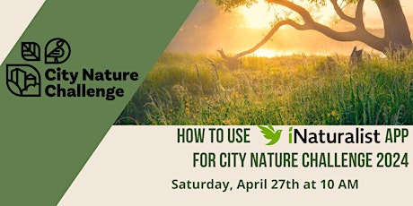 How to use iNaturalist for the City Nature Challenge 2024