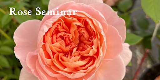 Rose Seminar primary image