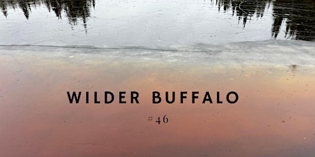 Imagen principal de Wilder Buffalo  #46