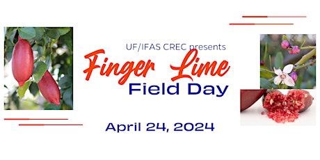 UF/IFAS Finger Lime Field Day