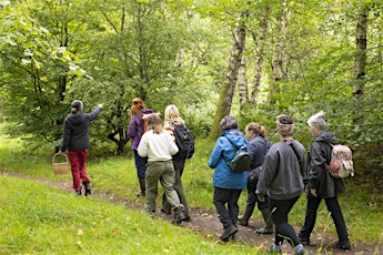 Spring Foraging, Forest Bathe & Crystals Part Two: Oban Rainforest