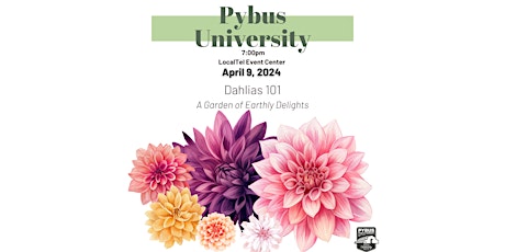 Pybus University: Dahlias 101
