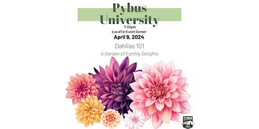 Imagen principal de Pybus University: Dahlias 101