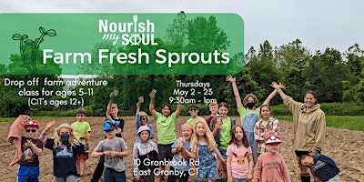 Imagem principal do evento Nourish My Soul May Farm Fresh Sprouts