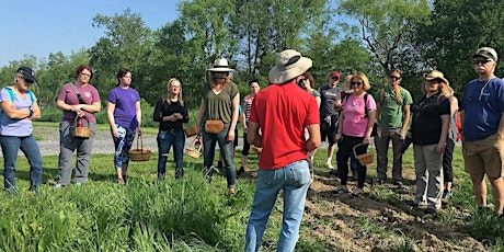 Spring Foraging Hike with Mitchell Dech