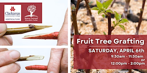 Primaire afbeelding van Fruit Tree Grafting: Beginning