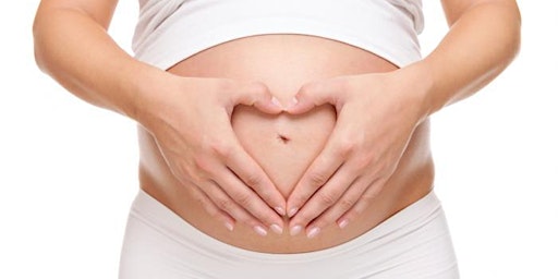 Primaire afbeelding van Your Pregnant Body