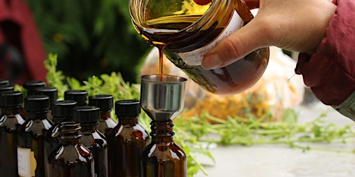 Imagem principal de Make your Own Herbal Teas and Tinctures
