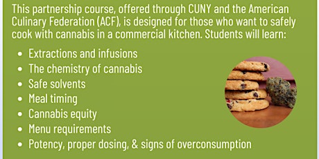 Spring 24 From Cannabis to Cuisine Applicant Group Interviews