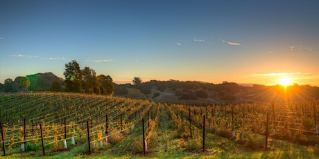 Imagen principal de Little Dinner Series | Napa Valley: Tasting the Vineyard | 3.19.24