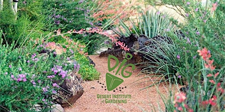 DIG ONLINE:  Basic Yard Makeovers