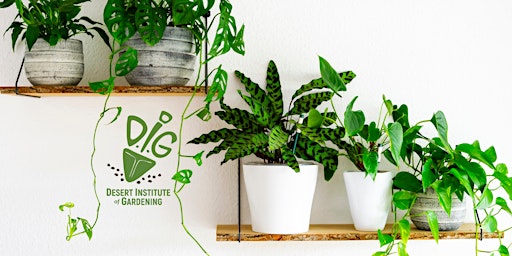 Primaire afbeelding van DIG IN-PERSON: Ready, Set, Grow!  Get the Dirt on House Plants