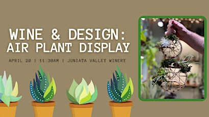 Wine & Design: Air Plant Display