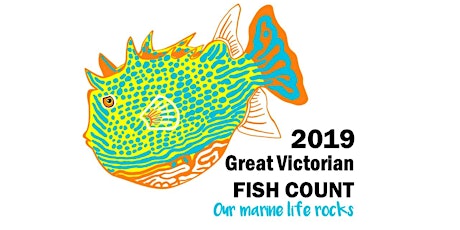 2019 Great Victorian Fish Count- Our Marine Life Rocks primary image