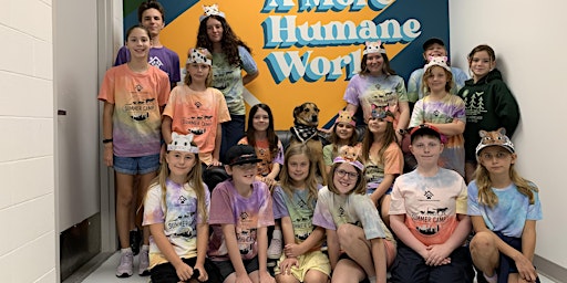 CHS Summer Camp 2024: Fantastic Felines (Grades 1-3) - August 19 - 23 primary image