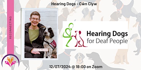 Hearing Dogs - Cŵn Clyw