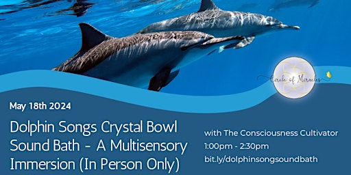 Imagem principal do evento Dolphin Songs Crystal Bowl Sound Bath - A Multisensory Immersion