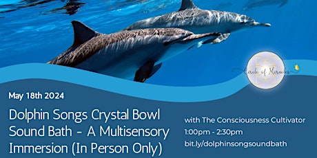 Dolphin Songs Crystal Bowl Sound Bath - A Multisensory Immersion
