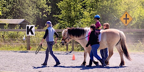 Primaire afbeelding van VTRA Volunteer Training: Side Walker