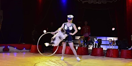 Circus Gerbola in Maynooth 2019 primary image