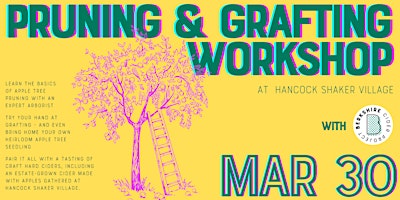Spring Pruning + Grafting Workshop primary image