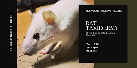 Rat Taxidermy at Spring into Strange Festival