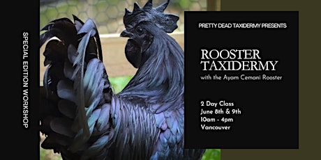 Rooster Taxidermy Workshop (2 Day Class)