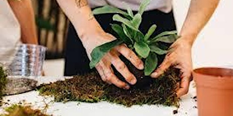 Learn, Plant and Create - Workshop - "Get your hands dirty "