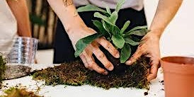 Primaire afbeelding van Learn, Plant and Create - Workshop - "Get your hands dirty "