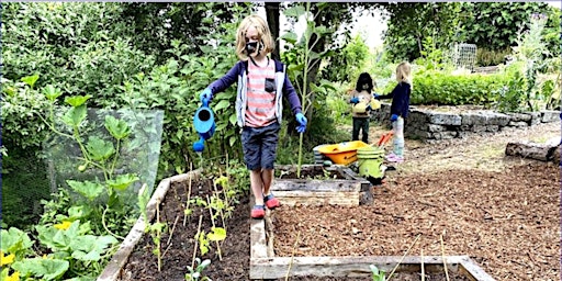 Food Forest Explorers Summer Day Camp