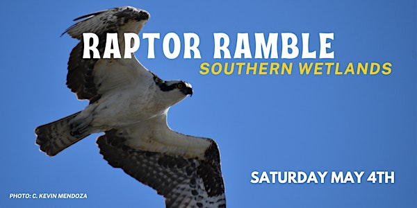 Los Cerritos Wetlands Nature Walk : Raptor Ramble