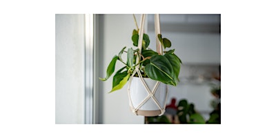 Make a Macrame Plant Hanger at Missing Falls Brewery primary image