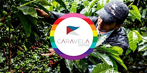 Caravela Cupping  primärbild