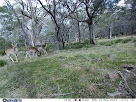 Public land hunting Tasmania 2024 - Tooms Lake Conservation Area  primärbild