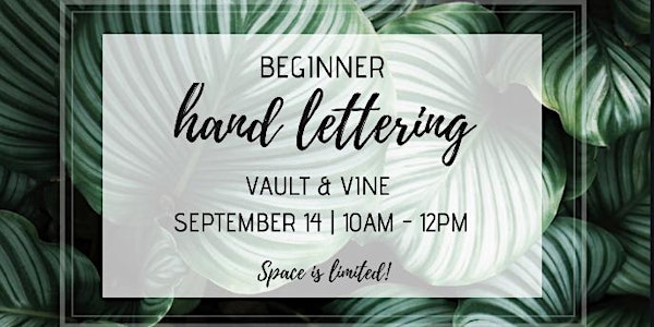 Beginner Hand Lettering
