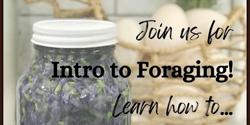 Primaire afbeelding van Introduction to Foraging- Let's Make Jelly!