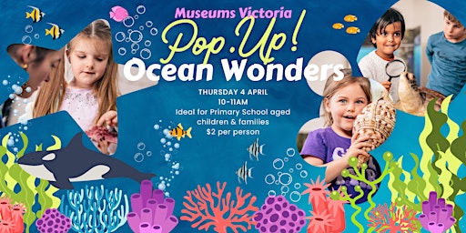 Museums Victoria | POP-UP Museum: Ocean Wonders primary image