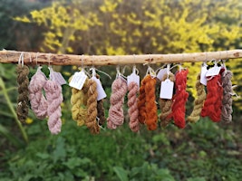 Natural Dyeing with Plants primary image